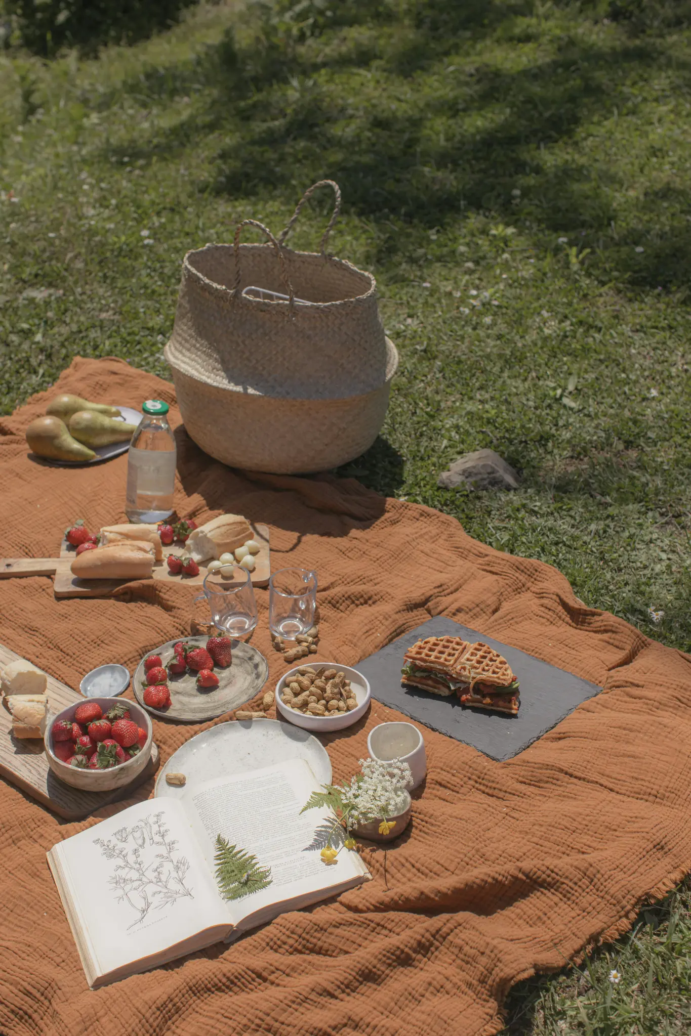 Picnic spread on the grass
